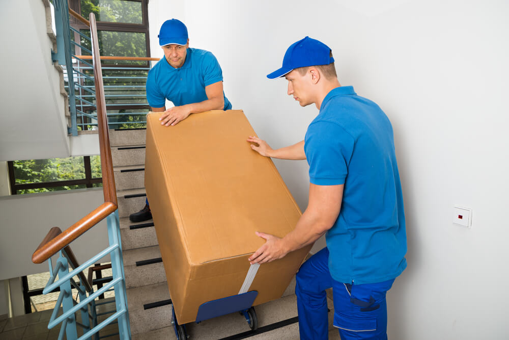 Customized Moving Plans